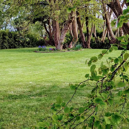 Laurel * Wexford